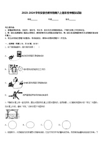 2023-2024学年安徽合肥市物理八上期末统考模拟试题含答案