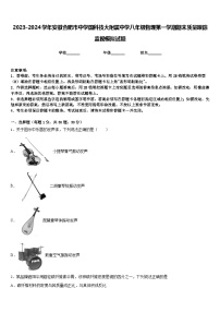 2023-2024学年安徽合肥市中学国科技大附属中学八年级物理第一学期期末质量跟踪监视模拟试题含答案