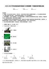 2023-2024学年安徽省亳州市谯城区八年级物理第一学期期末联考模拟试题含答案