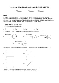 2023-2024学年安徽省亳州市物理八年级第一学期期末考试试题含答案