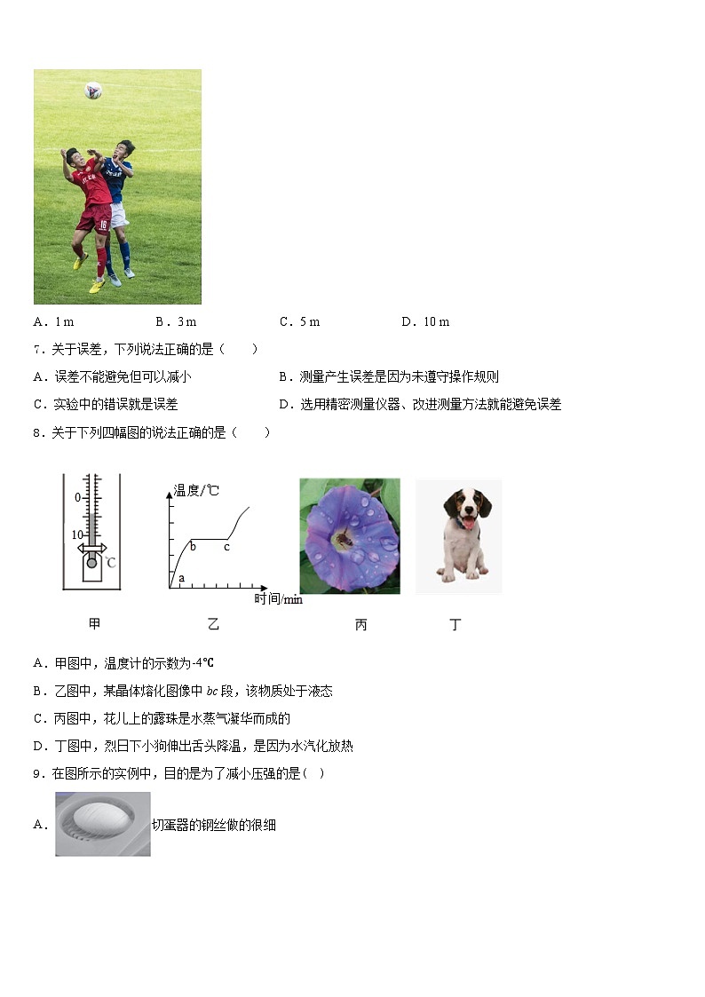 2023-2024学年安徽省临泉物理八年级第一学期期末质量检测模拟试题含答案02