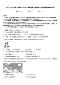 2023-2024学年宁夏银川市宁夏大附中物理八年级第一学期期末联考模拟试题含答案