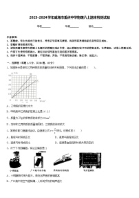 2023-2024学年威海市重点中学物理八上期末检测试题含答案