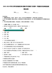 2023-2024学年天津市滨海新区枫叶国际学校物理八年级第一学期期末质量跟踪监视模拟试题含答案