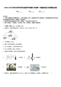 2023-2024学年天津市和平区双菱中学物理八年级第一学期期末复习检测模拟试题含答案