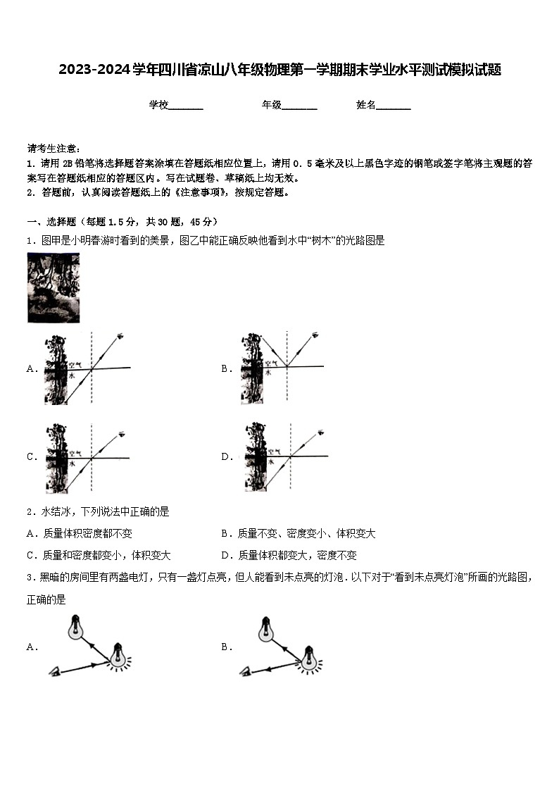 2023-2024学年四川省凉山八年级物理第一学期期末学业水平测试模拟试题含答案01