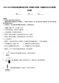 2023-2024学年四川省成都市温江区第二区物理八年级第一学期期末学业水平测试模拟试题含答案