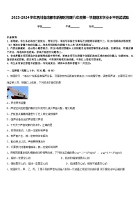 2023-2024学年四川省成都市新都区物理八年级第一学期期末学业水平测试试题含答案