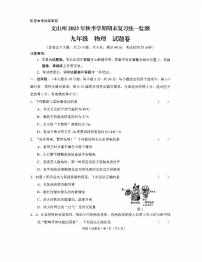 云南省文山壮族苗族自治州2023-2024学年九年级上学期1月期末物理试题