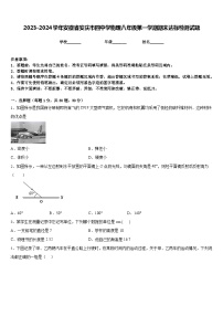 2023-2024学年安徽省安庆市四中学物理八年级第一学期期末达标检测试题含答案