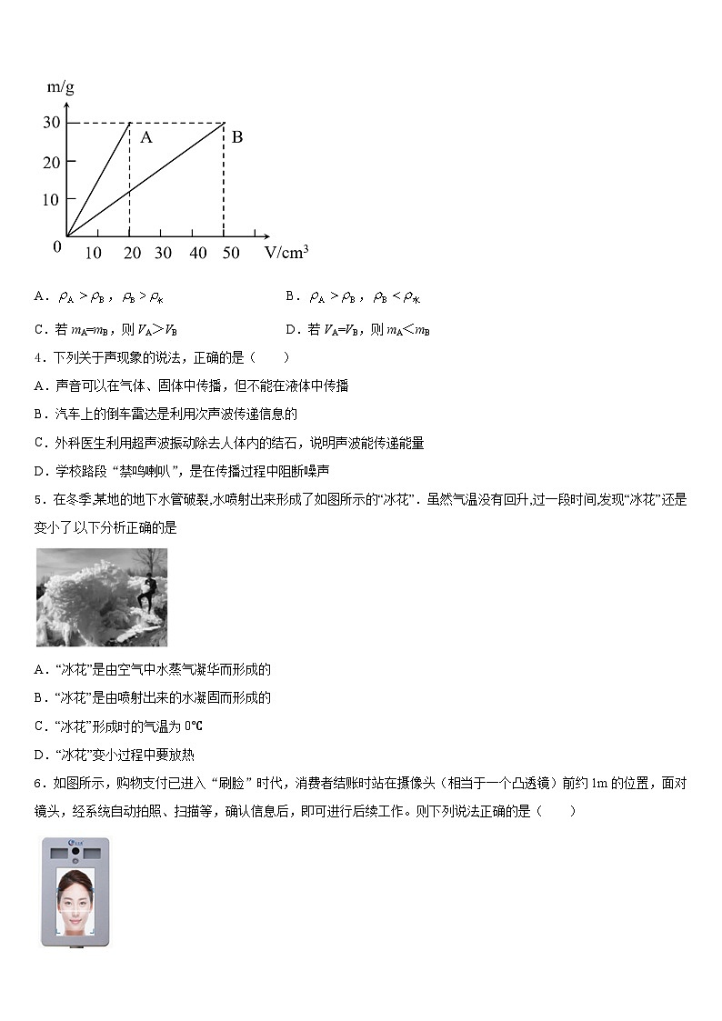 2023-2024学年安徽省安庆市桐城二中八年级物理第一学期期末质量跟踪监视模拟试题含答案第2页