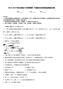 2023-2024学年安徽省八年级物理第一学期期末质量跟踪监视模拟试题含答案