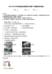 2023-2024学年安徽省含山县物理八年级第一学期期末联考试题含答案