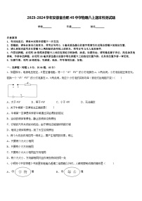 2023-2024学年安徽省合肥45中学物理八上期末检测试题含答案