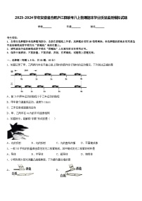 2023-2024学年安徽省合肥庐江县联考八上物理期末学业质量监测模拟试题含答案