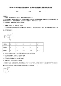 2023-2024学年安徽省合肥市、安庆市名校物理八上期末经典试题含答案