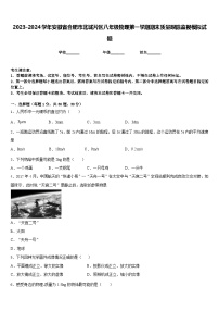 2023-2024学年安徽省合肥市北城片区八年级物理第一学期期末质量跟踪监视模拟试题含答案