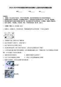 2023-2024学年安徽省合肥市名校物理八上期末质量检测模拟试题含答案