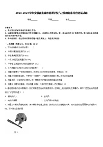 2023-2024学年安徽省宣城市培训学校八上物理期末综合测试试题含答案