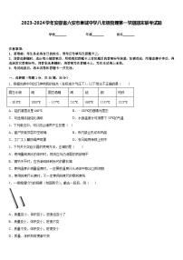 2023-2024学年安徽省六安市皋城中学八年级物理第一学期期末联考试题含答案