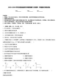 2023-2024学年安徽省宿州市泗县物理八年级第一学期期末预测试题含答案