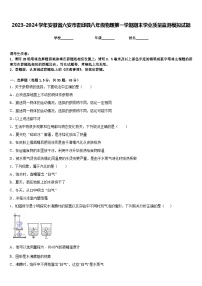 2023-2024学年安徽省六安市霍邱县八年级物理第一学期期末学业质量监测模拟试题含答案