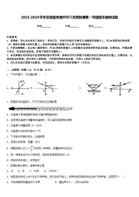 2023-2024学年安徽省养鹿中学八年级物理第一学期期末调研试题含答案