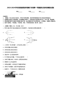 2023-2024学年安徽省巢湖市物理八年级第一学期期末达标检测模拟试题含答案