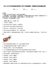 2023-2024学年安徽省池州市第十中学八年级物理第一学期期末综合测试模拟试题含答案