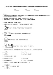2023-2024学年安徽省滁州市定远县八年级物理第一学期期末综合测试试题含答案