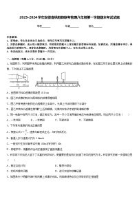 2023-2024学年安徽省枞阳县联考物理八年级第一学期期末考试试题含答案