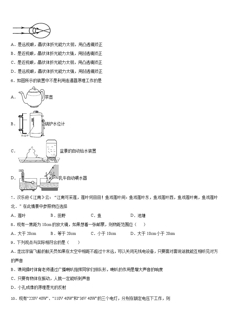 2023-2024学年安徽省枞阳县联考物理八年级第一学期期末考试试题含答案02