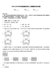 2023-2024学年安徽省肥东县八上物理期末统考试题含答案