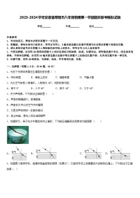 2023-2024学年安徽省阜阳市八年级物理第一学期期末联考模拟试题含答案