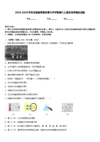 2023-2024学年安徽省阜阳市第九中学物理八上期末统考模拟试题含答案