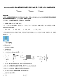 2023-2024学年安徽省阜阳市民族中学物理八年级第一学期期末综合测试模拟试题含答案