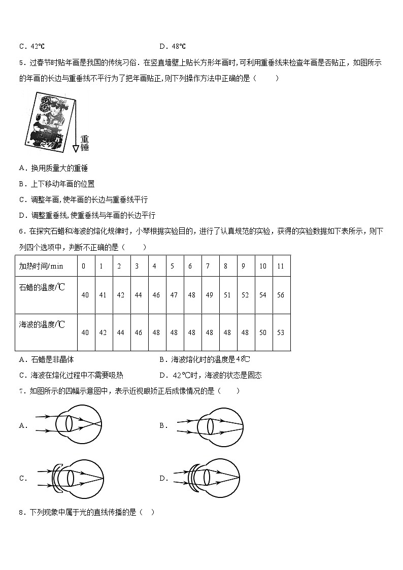 2023-2024学年安徽省阜阳市民族中学物理八年级第一学期期末综合测试模拟试题含答案第2页
