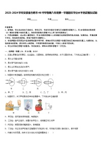 2023-2024学年安徽省合肥市46中学物理八年级第一学期期末学业水平测试模拟试题含答案