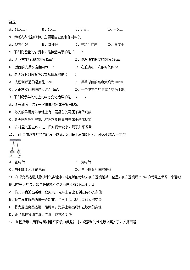 2023-2024学年安徽省合肥市科大附中八上物理期末学业水平测试模拟试题含答案02