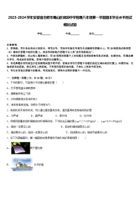 2023-2024学年安徽省合肥市蜀山区琥珀中学物理八年级第一学期期末学业水平测试模拟试题含答案