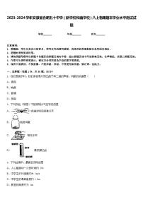 2023-2024学年安徽省合肥五十中学（新学校和南学校）八上物理期末学业水平测试试题含答案