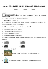 2023-2024学年安徽省黄山市屯溪区第四中学物理八年级第一学期期末综合测试试题含答案