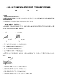 2023-2024学年安徽省石台县物理八年级第一学期期末质量检测模拟试题含答案