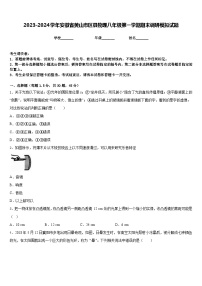 2023-2024学年安徽省黄山市区县物理八年级第一学期期末调研模拟试题含答案