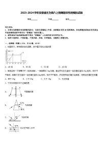 2023-2024学年安徽省无为县八上物理期末检测模拟试题含答案