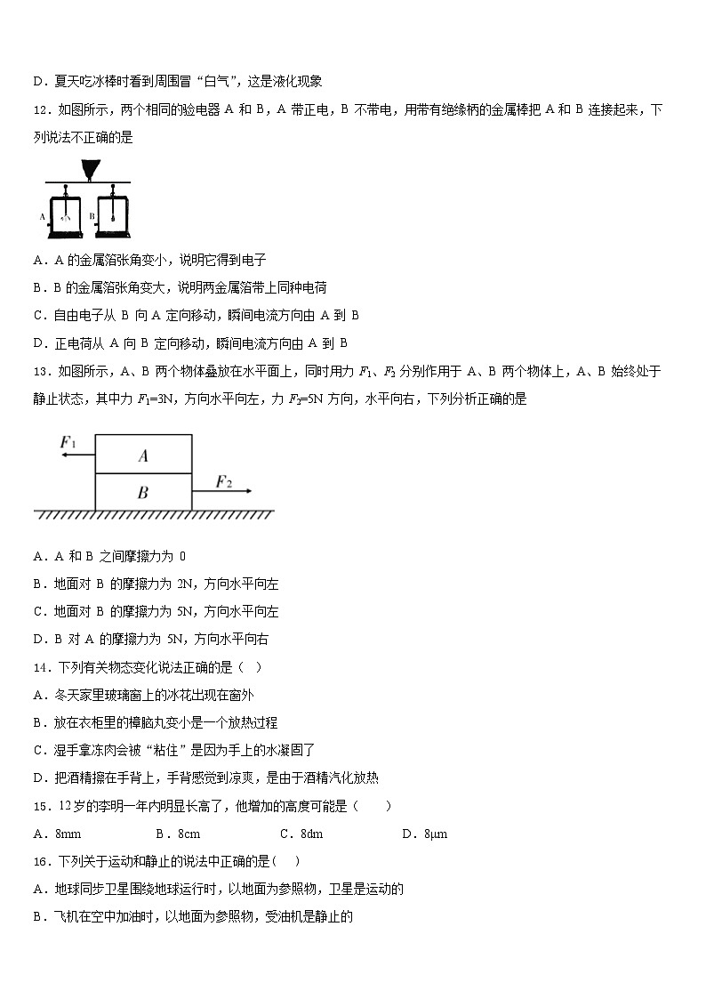 2023-2024学年安徽省无为县八上物理期末检测模拟试题含答案03