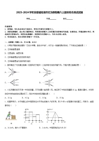 2023-2024学年安徽省芜湖市无为县物理八上期末综合测试试题含答案