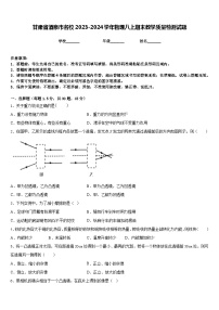 甘肃省酒泉市名校2023-2024学年物理八上期末教学质量检测试题含答案