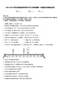 2023-2024学年安徽省宿州市第五中学八年级物理第一学期期末经典模拟试题含答案