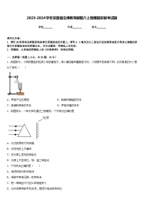 2023-2024学年安徽省沿淮教育联盟八上物理期末联考试题含答案